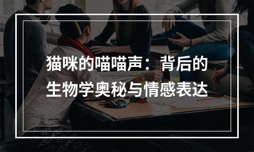 猫咪的喵喵声：背后的生物学奥秘与情感表达