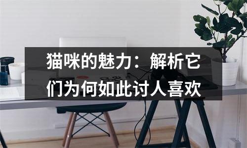 猫咪的魅力：解析它们为何如此讨人喜欢