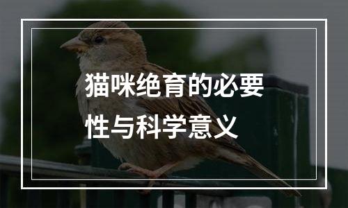 猫咪绝育的必要性与科学意义