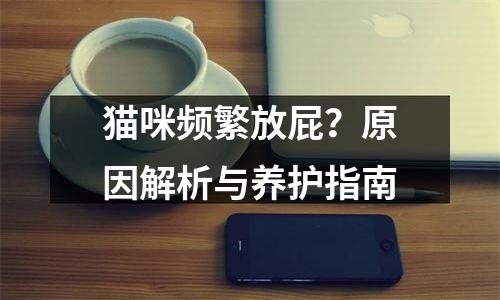猫咪频繁放屁？原因解析与养护指南