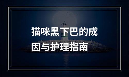 猫咪黑下巴的成因与护理指南