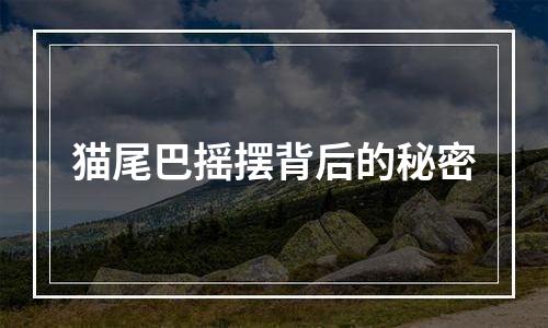 猫尾巴摇摆背后的秘密