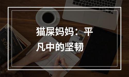 猫屎妈妈：平凡中的坚韧