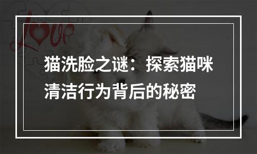 猫洗脸之谜：探索猫咪清洁行为背后的秘密