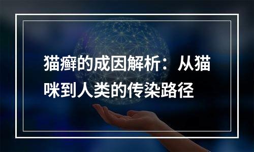 猫癣的成因解析：从猫咪到人类的传染路径
