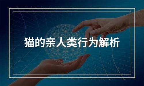 猫的亲人类行为解析