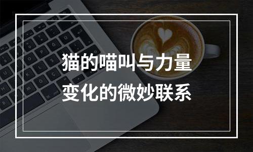 猫的喵叫与力量变化的微妙联系