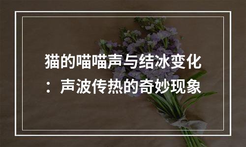 猫的喵喵声与结冰变化：声波传热的奇妙现象
