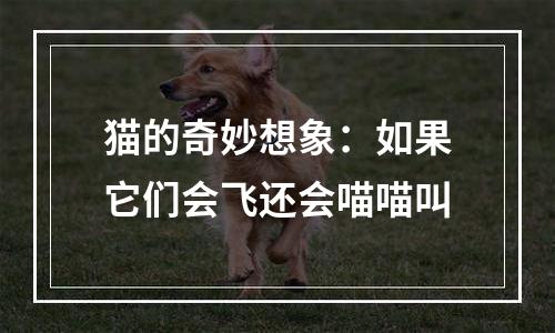 猫的奇妙想象：如果它们会飞还会喵喵叫