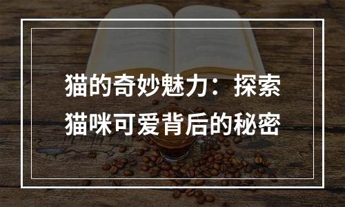 猫的奇妙魅力：探索猫咪可爱背后的秘密