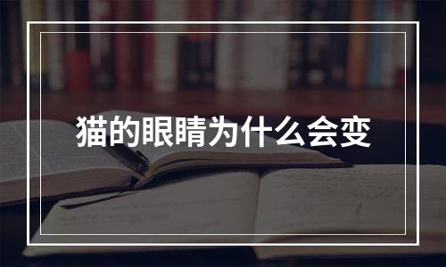 猫的眼睛为什么会变