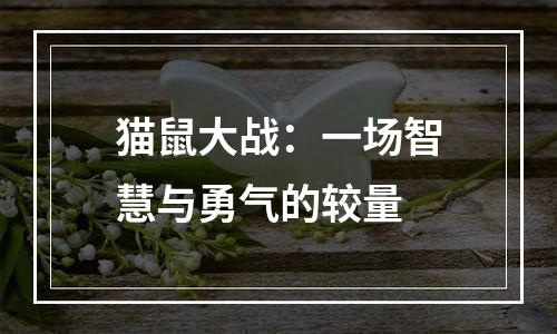 猫鼠大战：一场智慧与勇气的较量