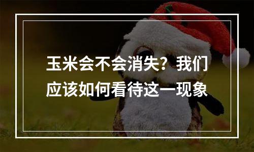 玉米会不会消失？我们应该如何看待这一现象