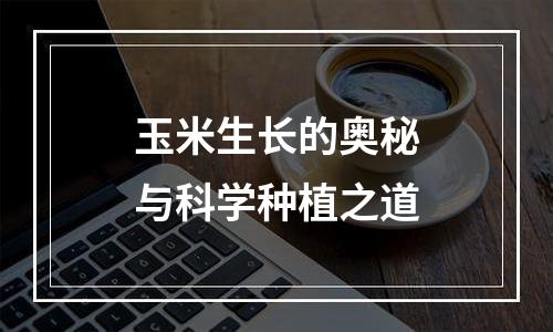 玉米生长的奥秘与科学种植之道
