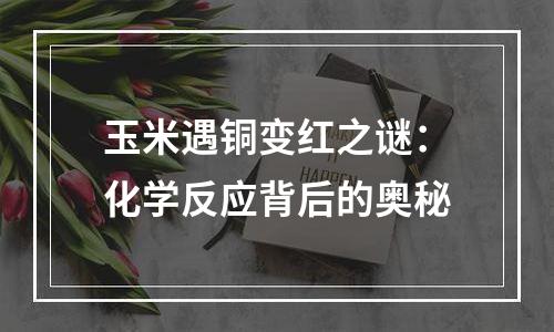 玉米遇铜变红之谜：化学反应背后的奥秘