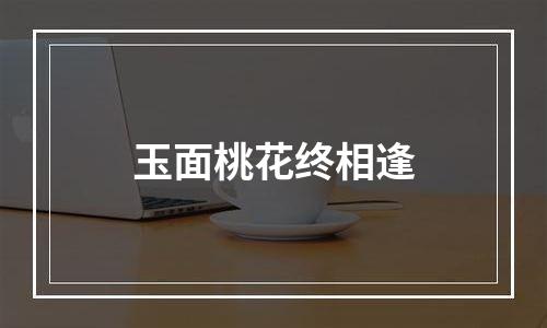 玉面桃花终相逢