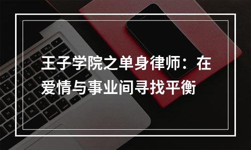 王子学院之单身律师：在爱情与事业间寻找平衡