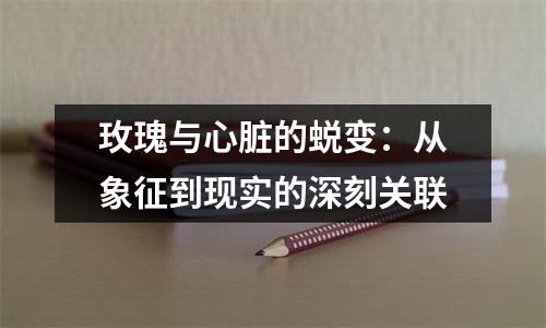 玫瑰与心脏的蜕变：从象征到现实的深刻关联
