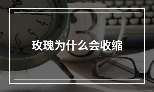 玫瑰为什么会收缩