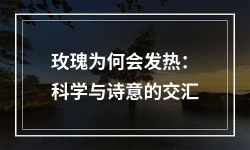 玫瑰为何会发热：科学与诗意的交汇