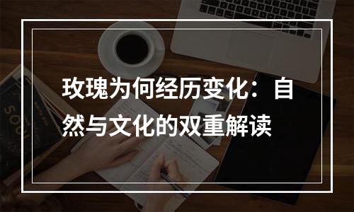 玫瑰为何经历变化：自然与文化的双重解读