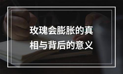 玫瑰会膨胀的真相与背后的意义