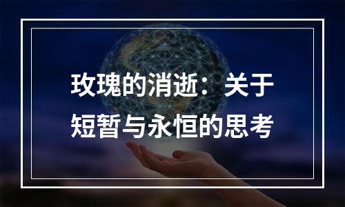 玫瑰的消逝：关于短暂与永恒的思考