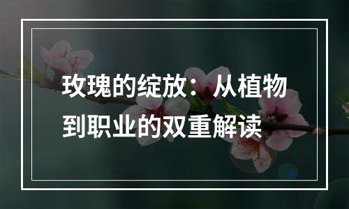 玫瑰的绽放：从植物到职业的双重解读
