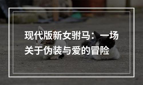 现代版新女驸马：一场关于伪装与爱的冒险