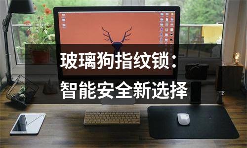 玻璃狗指纹锁：智能安全新选择