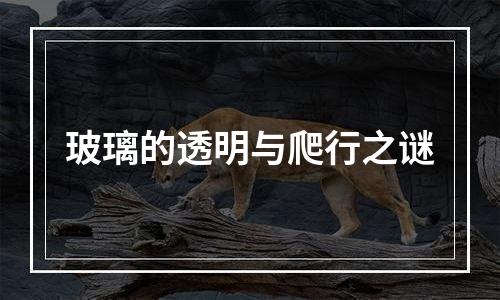 玻璃的透明与爬行之谜