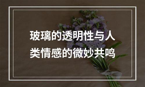 玻璃的透明性与人类情感的微妙共鸣