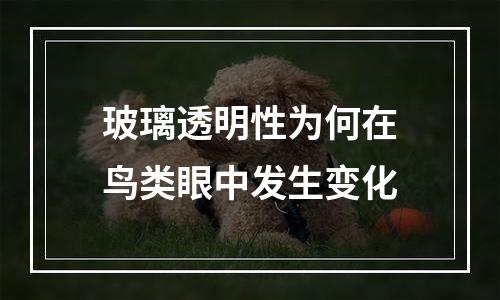 玻璃透明性为何在鸟类眼中发生变化