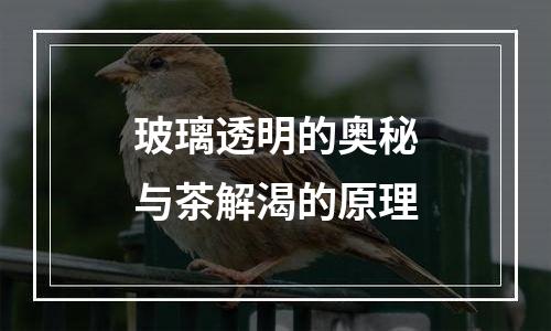 玻璃透明的奥秘与茶解渴的原理