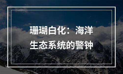 珊瑚白化：海洋生态系统的警钟