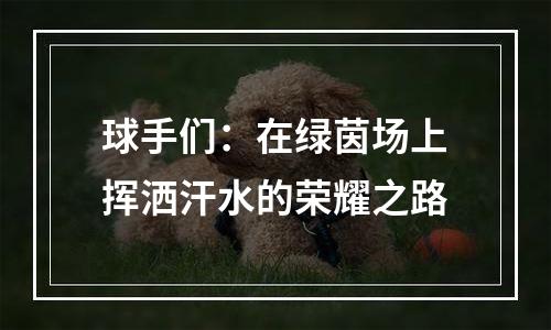 球手们：在绿茵场上挥洒汗水的荣耀之路