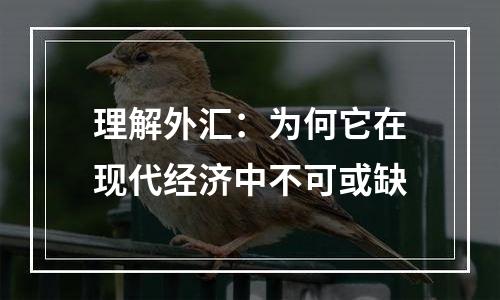 理解外汇：为何它在现代经济中不可或缺