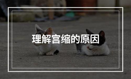 理解宫缩的原因
