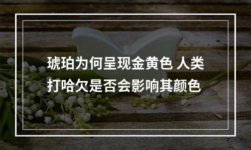 琥珀为何呈现金黄色 人类打哈欠是否会影响其颜色