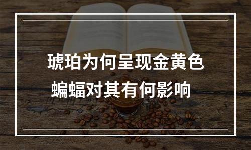 琥珀为何呈现金黄色 蝙蝠对其有何影响