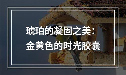 琥珀的凝固之美：金黄色的时光胶囊
