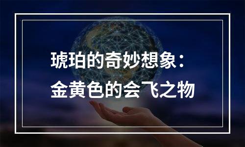 琥珀的奇妙想象：金黄色的会飞之物