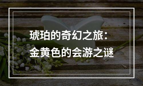 琥珀的奇幻之旅：金黄色的会游之谜