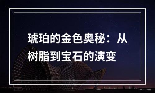 琥珀的金色奥秘：从树脂到宝石的演变