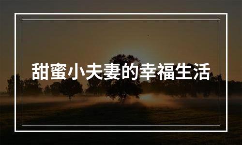 甜蜜小夫妻的幸福生活