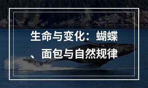 生命与变化：蝴蝶、面包与自然规律