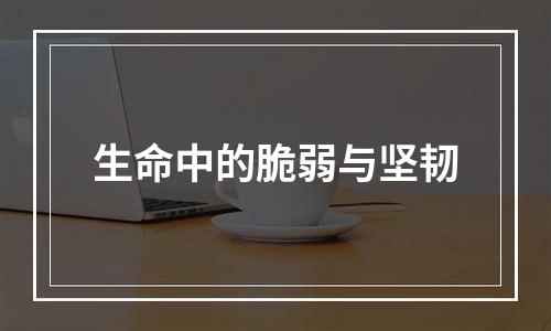 生命中的脆弱与坚韧