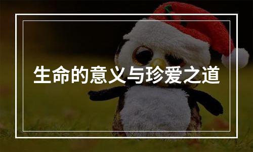 生命的意义与珍爱之道