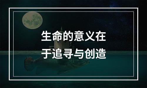生命的意义在于追寻与创造