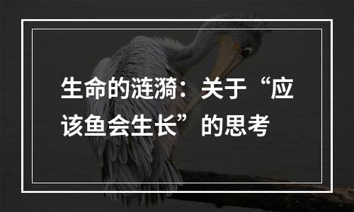生命的涟漪：关于“应该鱼会生长”的思考